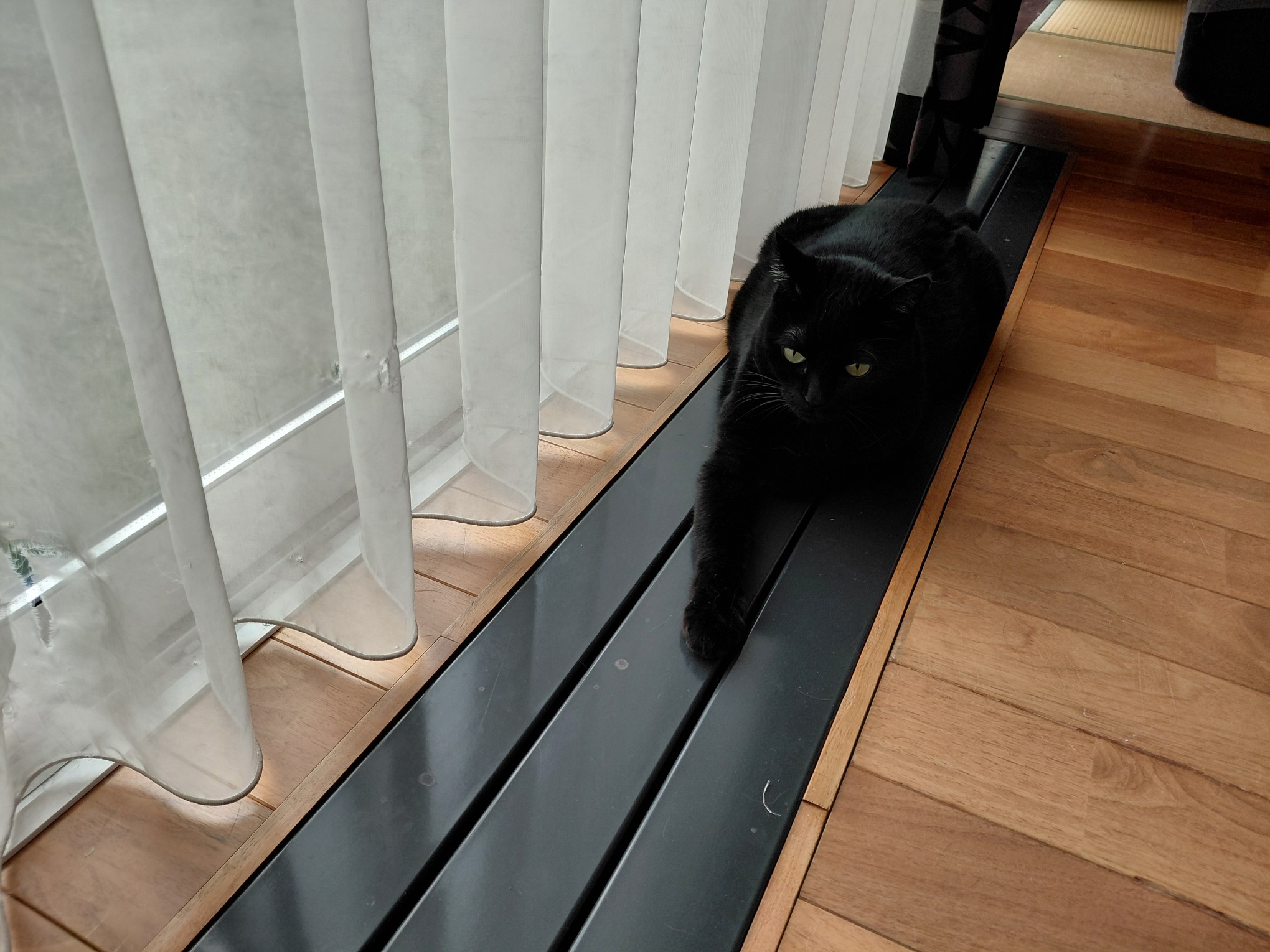 ファイル 998-1.jpg