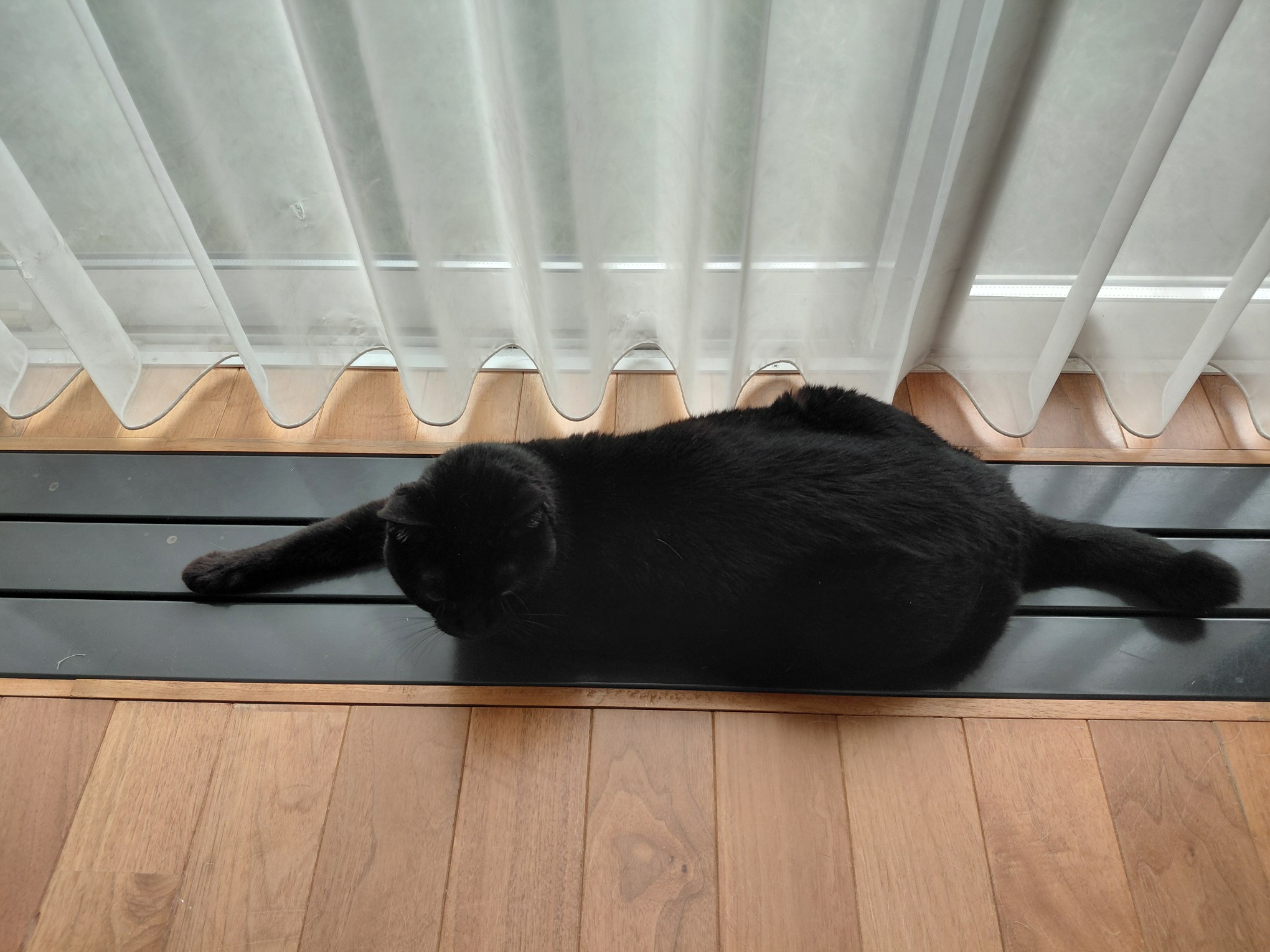 ファイル 998-2.jpg