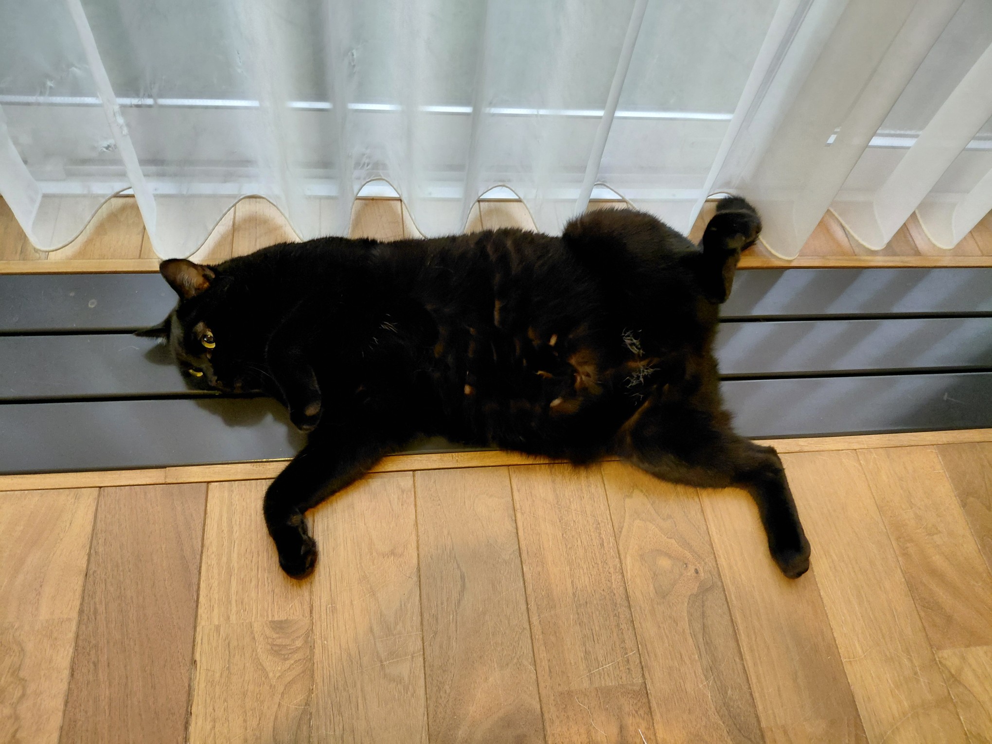 ファイル 998-3.jpg